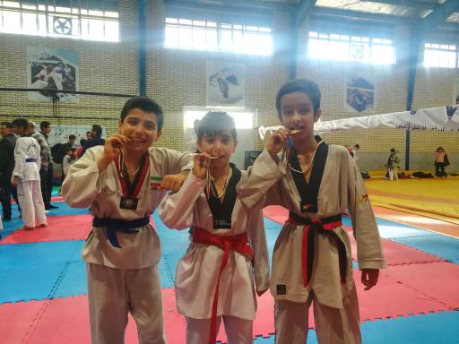 عکس خانه تکواندو