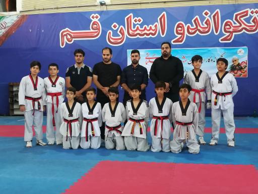 عکس خانه تکواندو