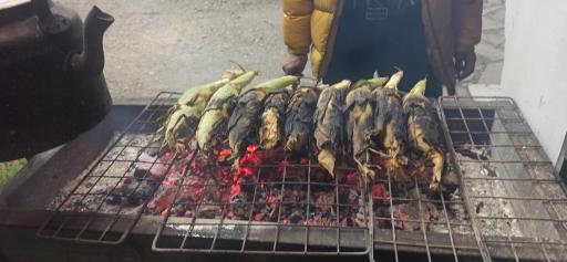 عکس سید بلالی