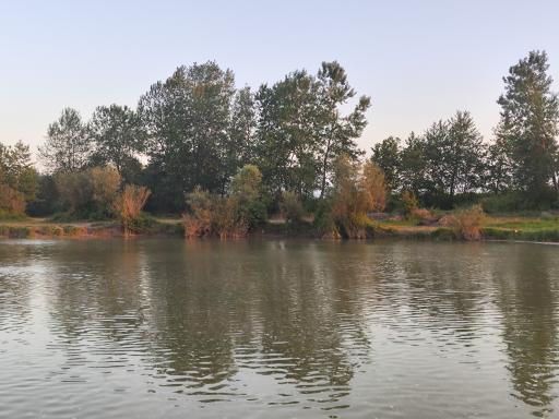 عکس رشت آباد