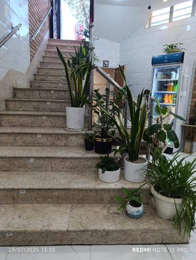 عکس کباب ایرانی