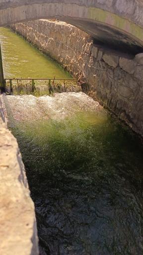 عکس زرین شهر