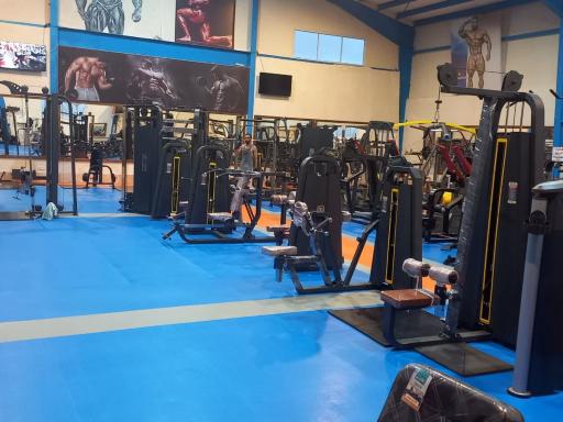 عکس باشگاه بدنسازی و پرورش اندام دنیای قدرت 