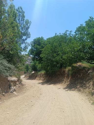 عکس ارزان فود
