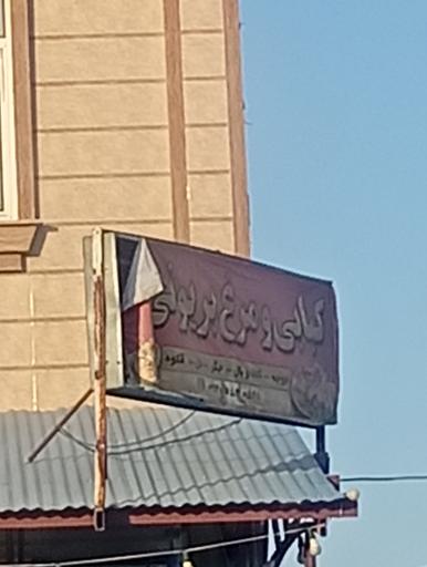 عکس کبابی مرغ بریونی