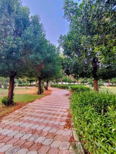 عکس بوستان پردیس