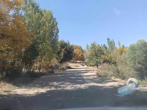عکس ارزان فود