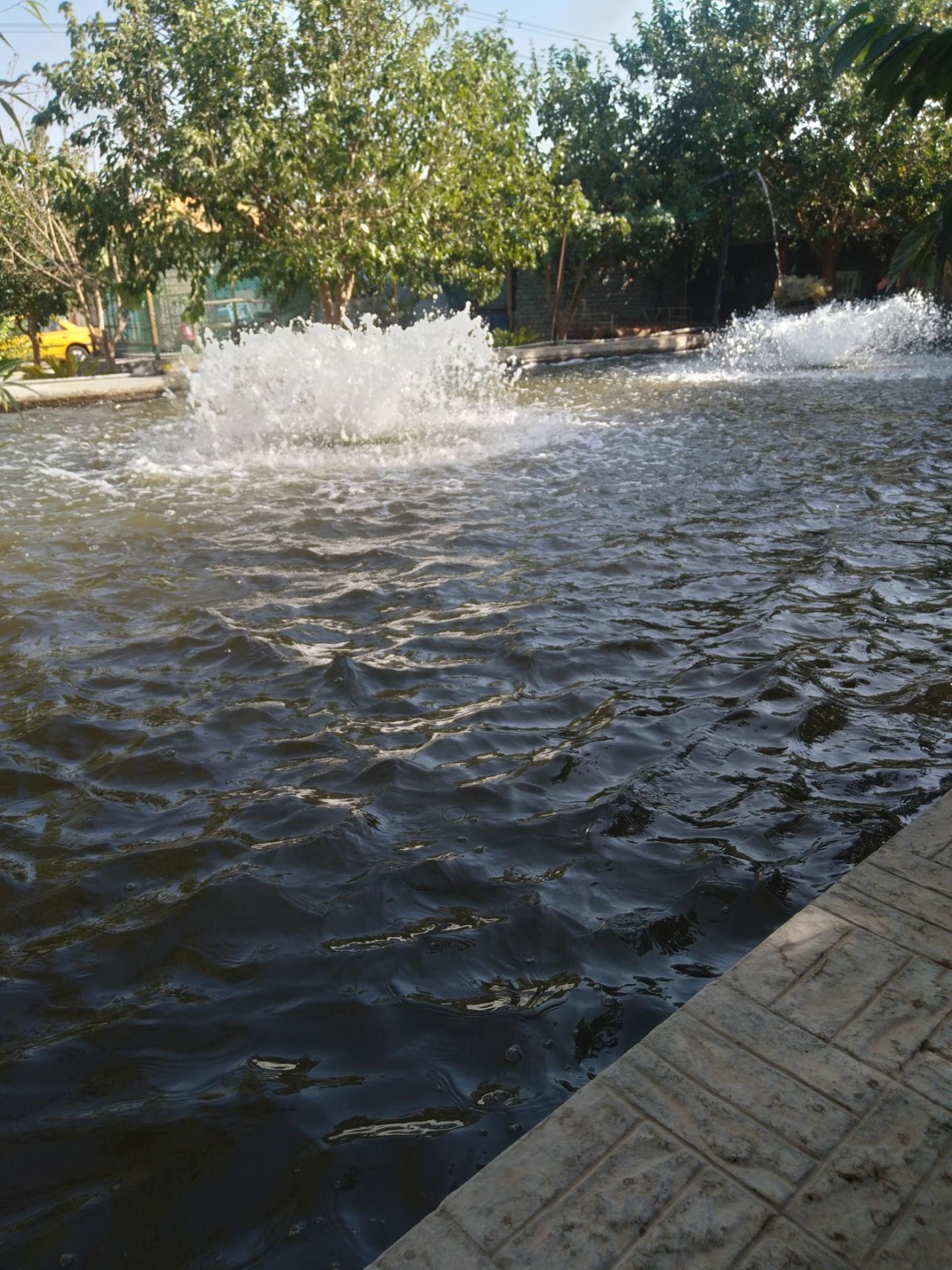 عکس پرورش ماهی رنگین کمان شعبه ۱