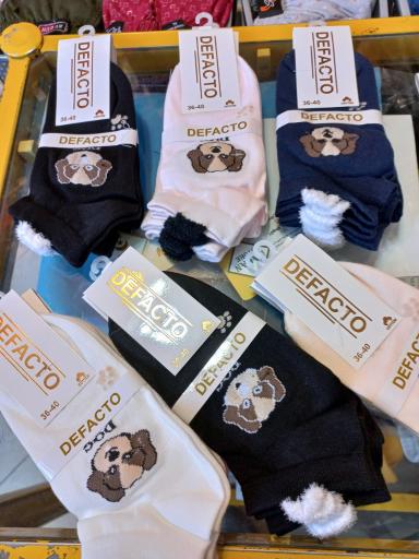 عکس پخش لباس زیر باران