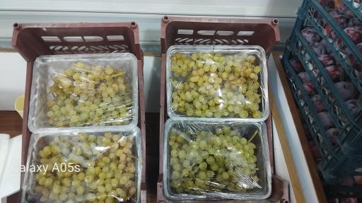 عکس میوه فروشی