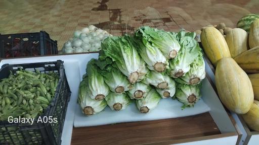 عکس میوه فروشی