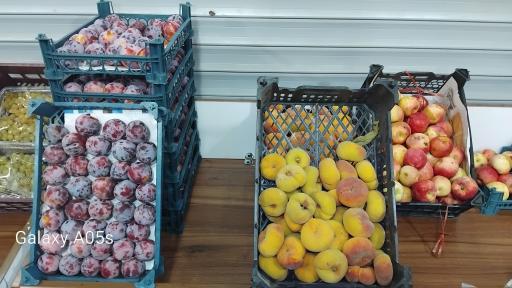 عکس میوه فروشی