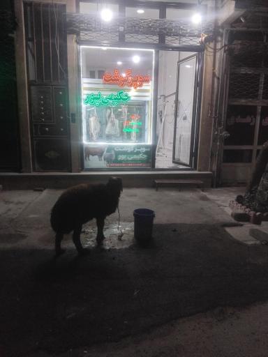 عکس سوپر گوشت حکیمی پور 