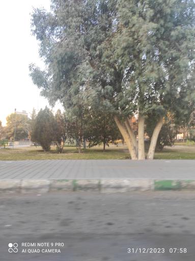 عکس بوستان والفجر