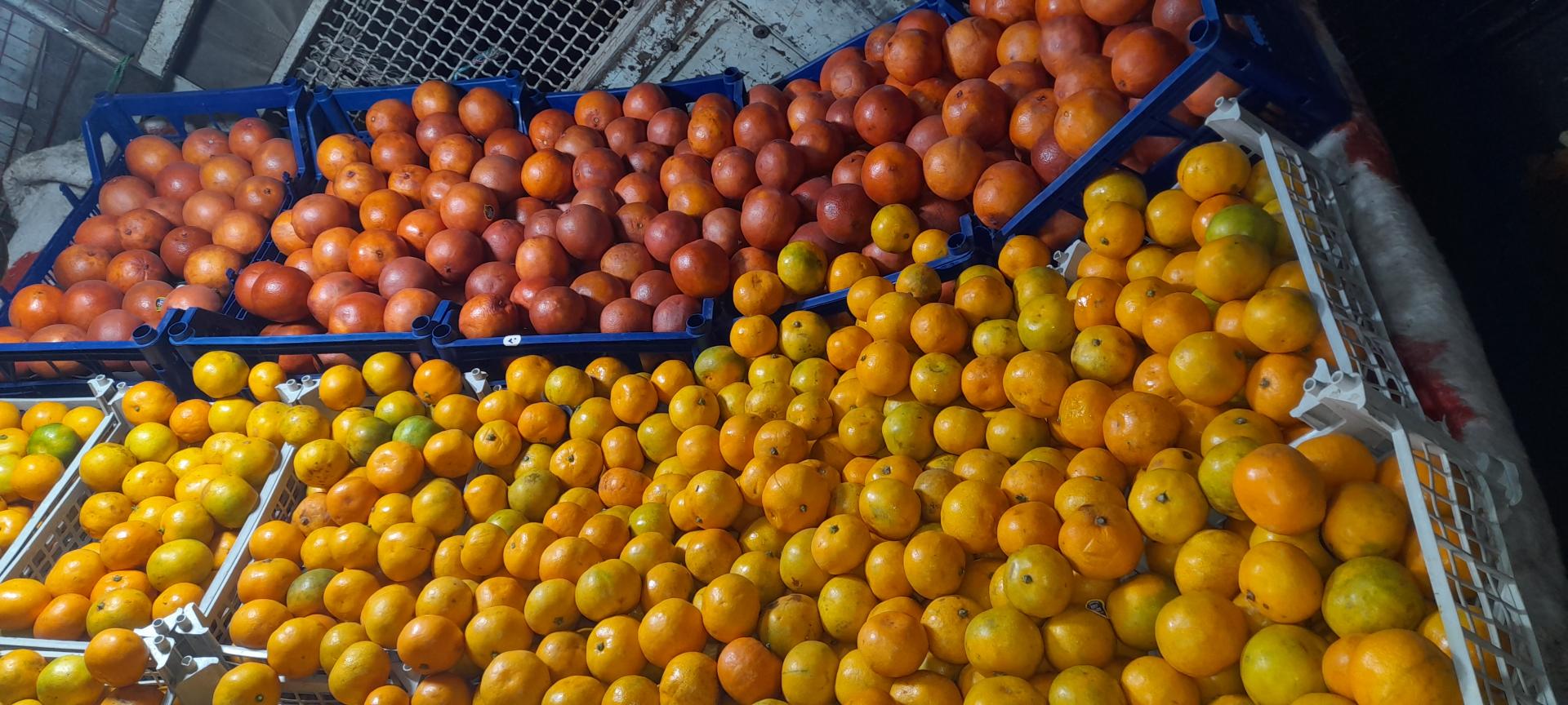 عکس هایپر میوه چهارفصل