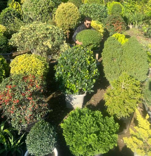 عکس گلکده و نهالستان فلاح