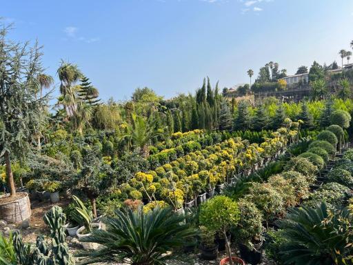 عکس گلکده و نهالستان فلاح