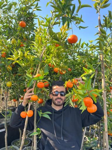 عکس گلکده و نهالستان فلاح