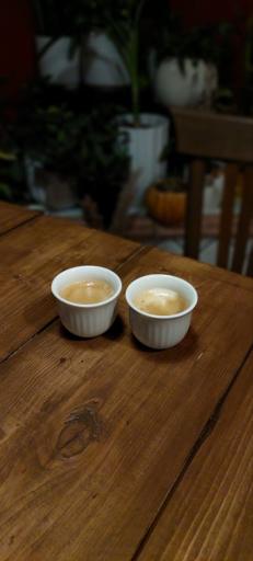 عکس کافه گیاهی (وگان) ریشه