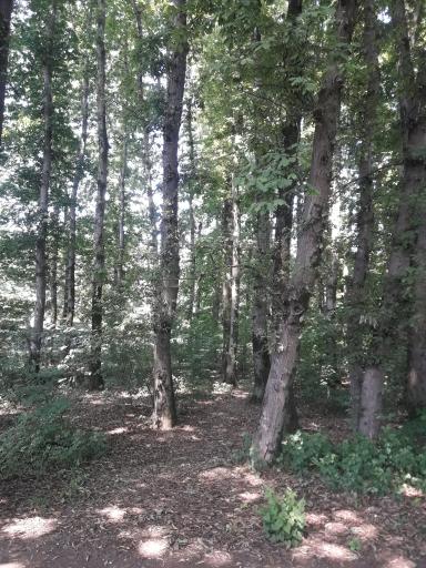 بوستان مفاخر