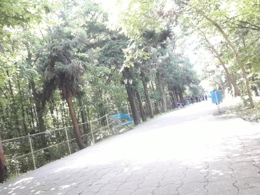 بوستان مفاخر