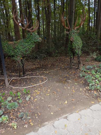 عکس بوستان مفاخر