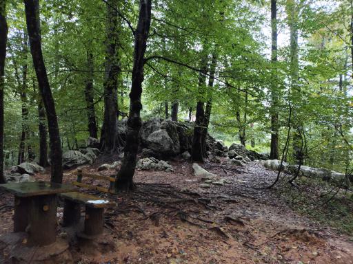 عکس تله کابین نمک آبرود