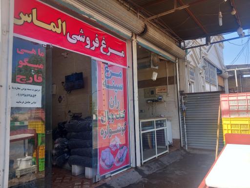 عکس مرغ فروشی الماس