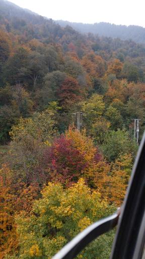 عکس تله کابین نمک آبرود