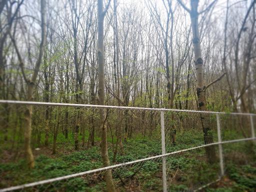 عکس بوستان مفاخر