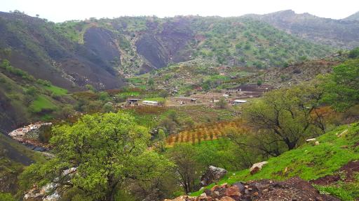 عکس کمپ گردشگری آبشار نوژیان
