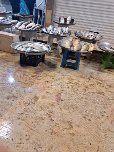 ماهی سرای محبت پور 