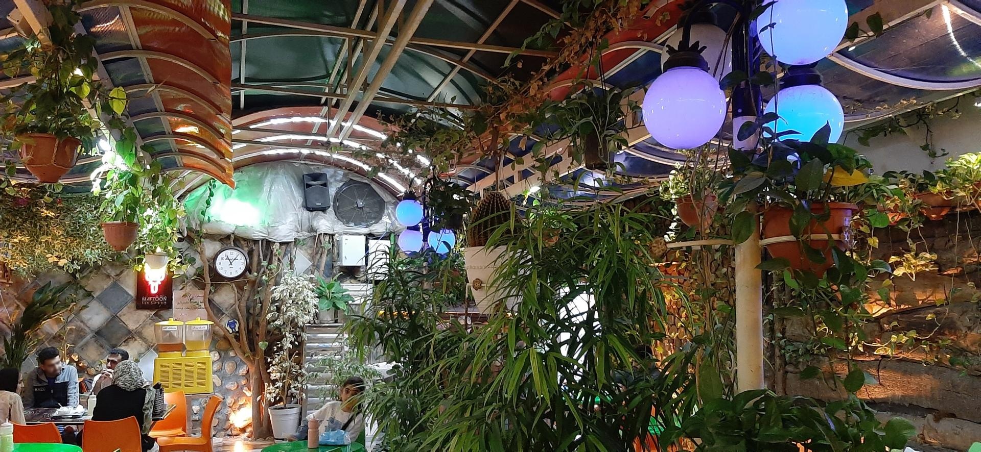 عکس بستنی مفتون