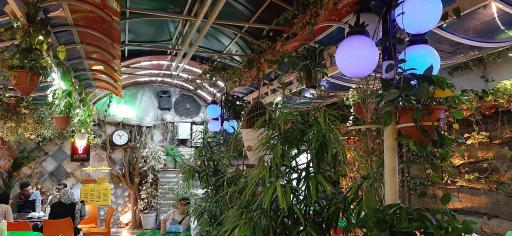 عکس بستنی مفتون