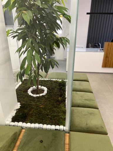 مطب دکتر طباطبائی 