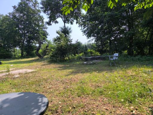 عکس هتل رویال ماسال