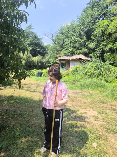 عکس هتل رویال ماسال