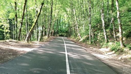 عکس هتل رویال ماسال