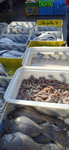 عکس ماهی فروشی