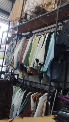 عکس بوتیک گالری پاپیون ( زارع )