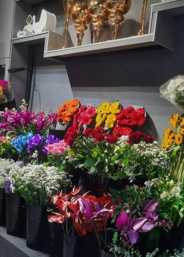 عکس سرای گل تی تی رامسر