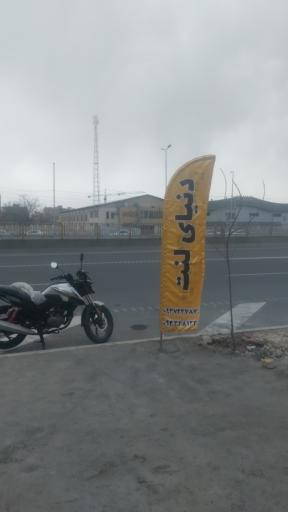 عکس دنیای لنت 