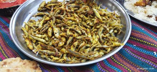 عکس مجتمع پذیرایی و تفریحی براسان