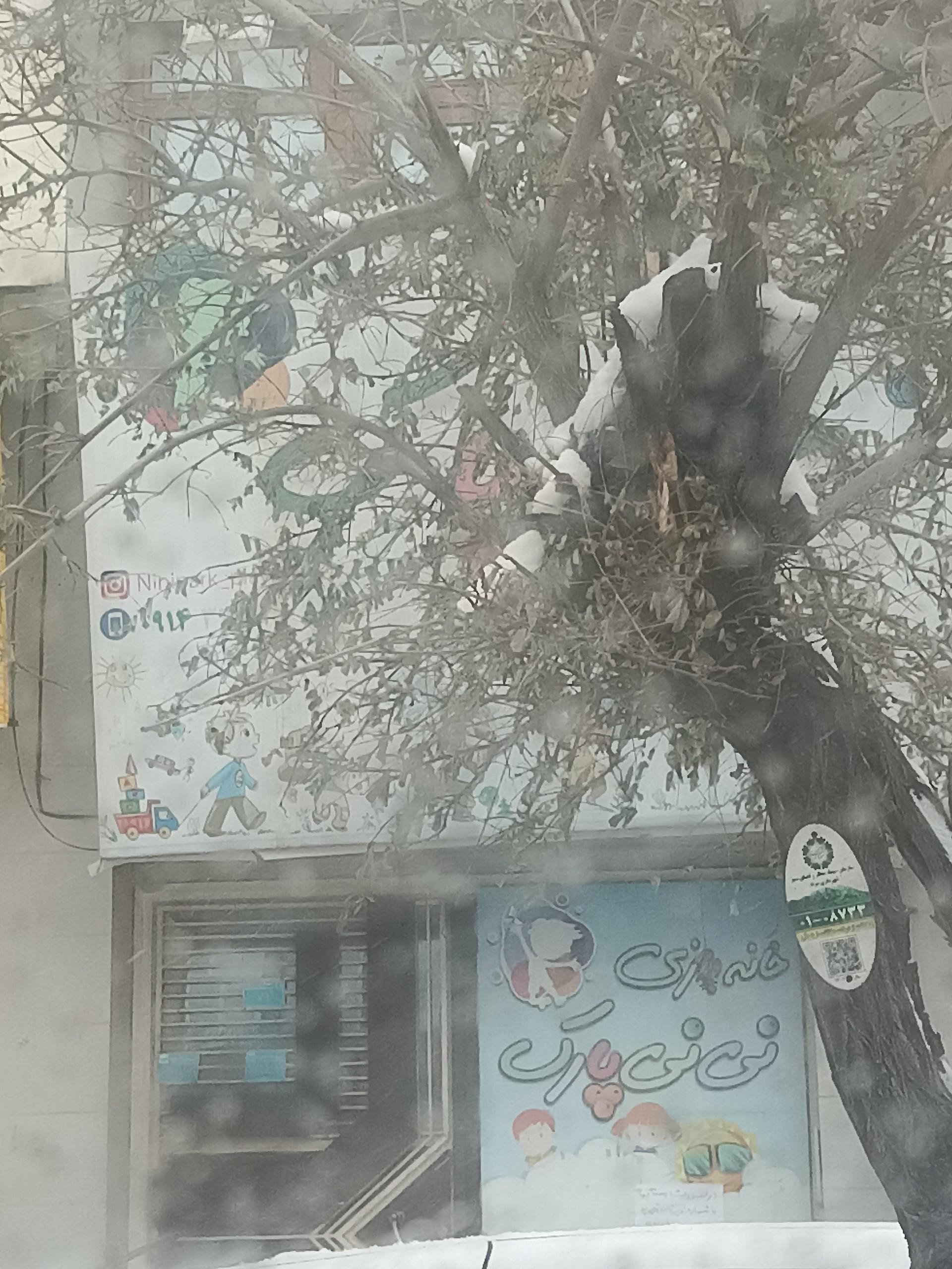 عکس نی نی پارک