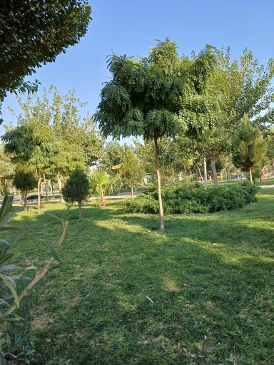 عکس پارک ولایت