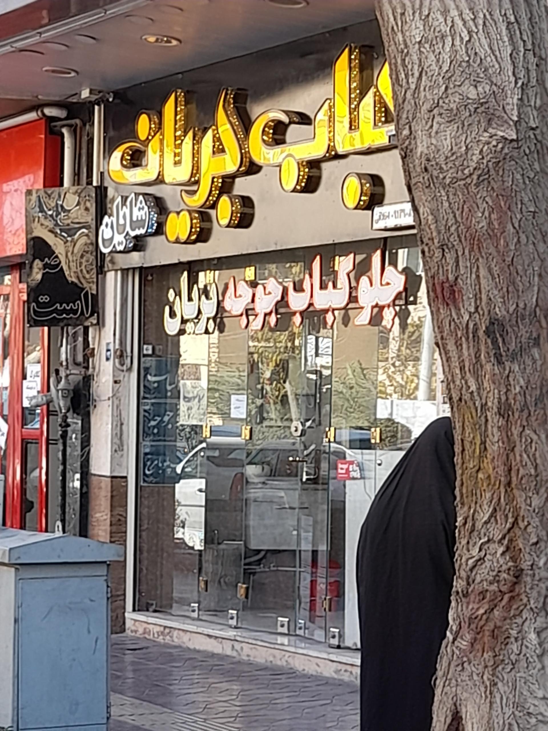 عکس کباب بریان شایان