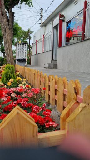 عکس ارم پروتئین رضوی