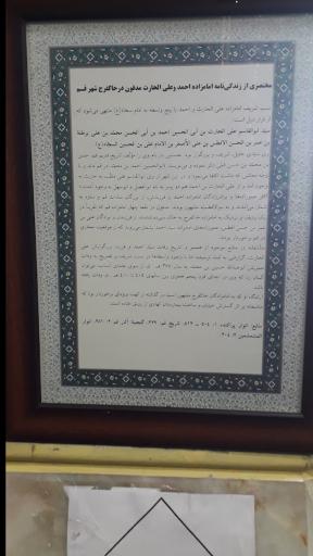 عکس آستان امامزادگان احمد و علی (علیهماالسلام)