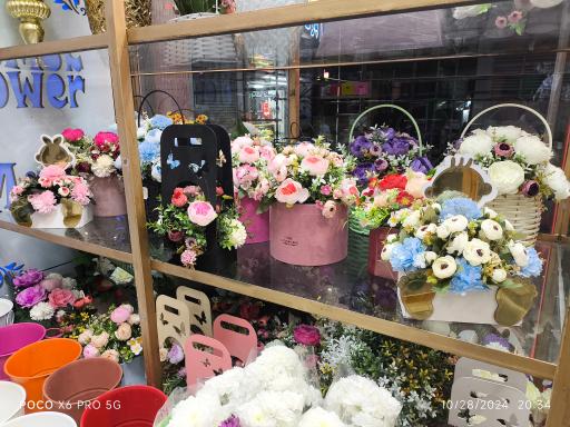 عکس گل چیچک