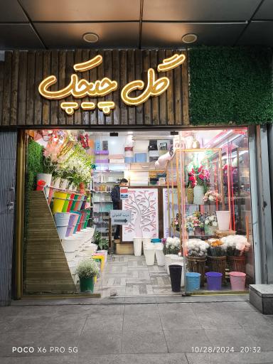 عکس گل چیچک